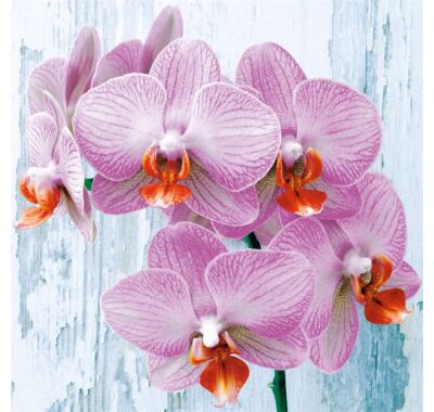 decoupage orchidea  virág mintás szalvéta
